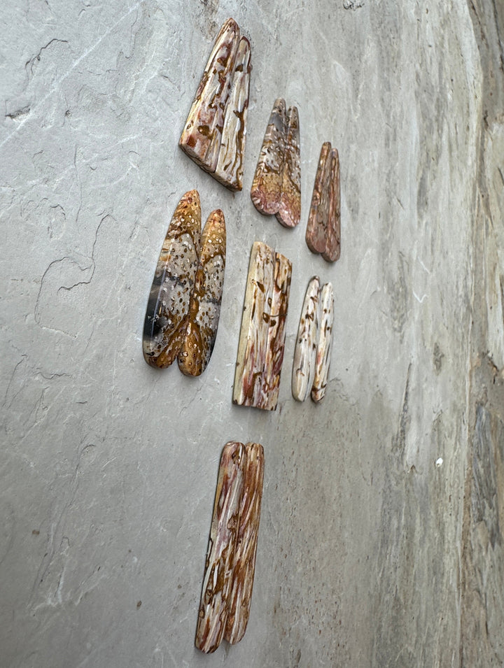 Petrified Palm Wood LARGE Matching Earring Slab Beads