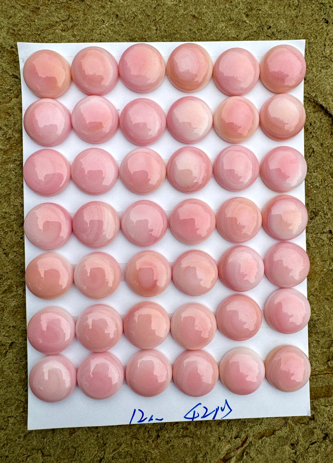 Pink Queen Conch 12mm Calibrated Round Cabochon Package