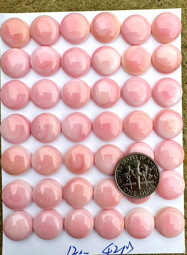 Pink Queen Conch 12mm Calibrated Round Cabochon Package