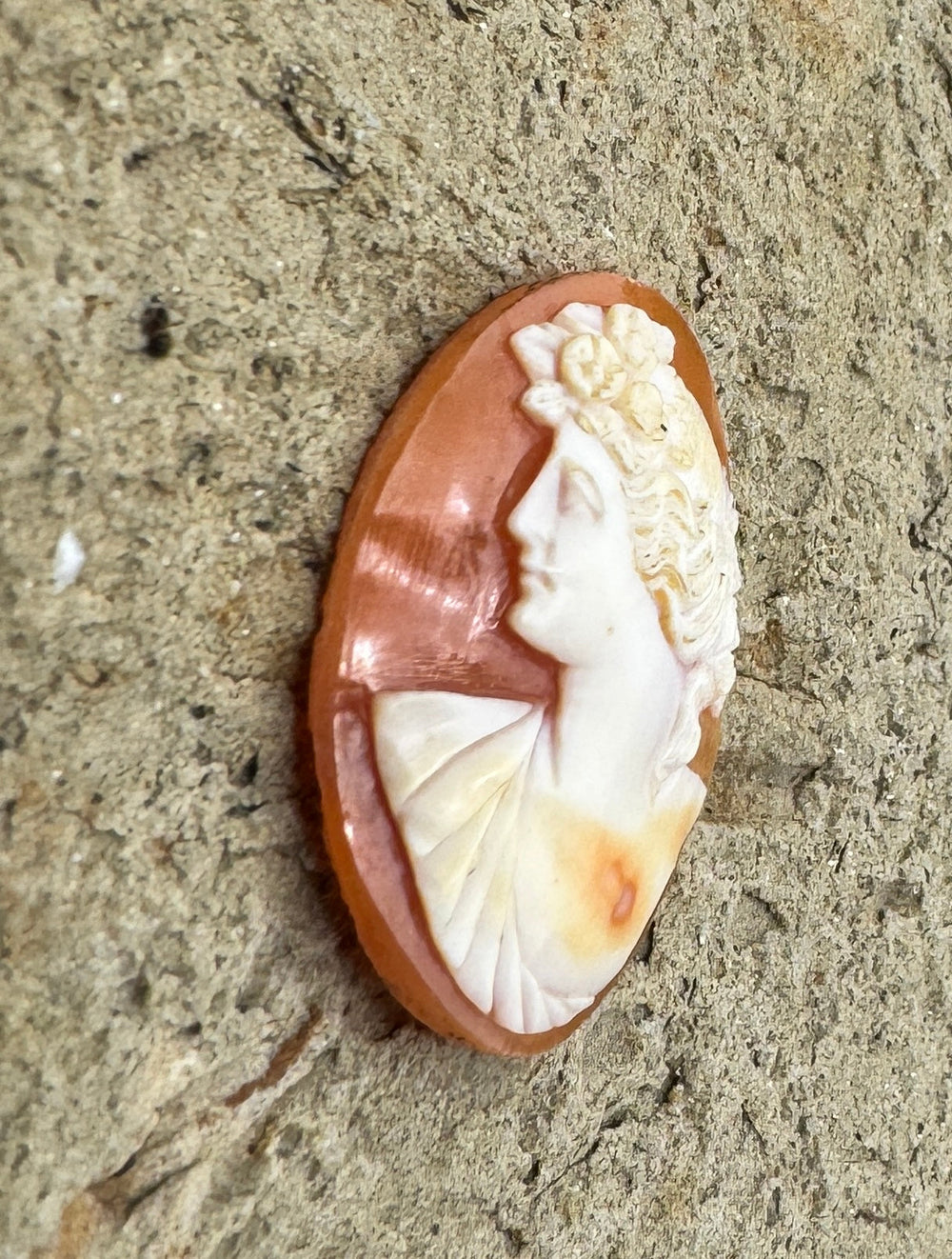 Vintage Genuine Carved Shell Cameo 22x29mm - Shell Cameo