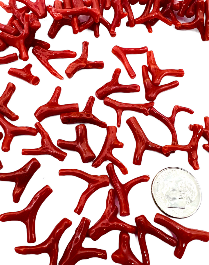 Natural Red Mediterranean Coral (Italy) Branch Beads 20mm