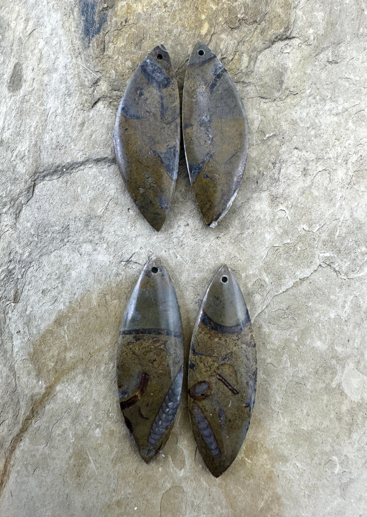 Natural Stone with Fossil Earring Slab Bead Pair, Select One Pair