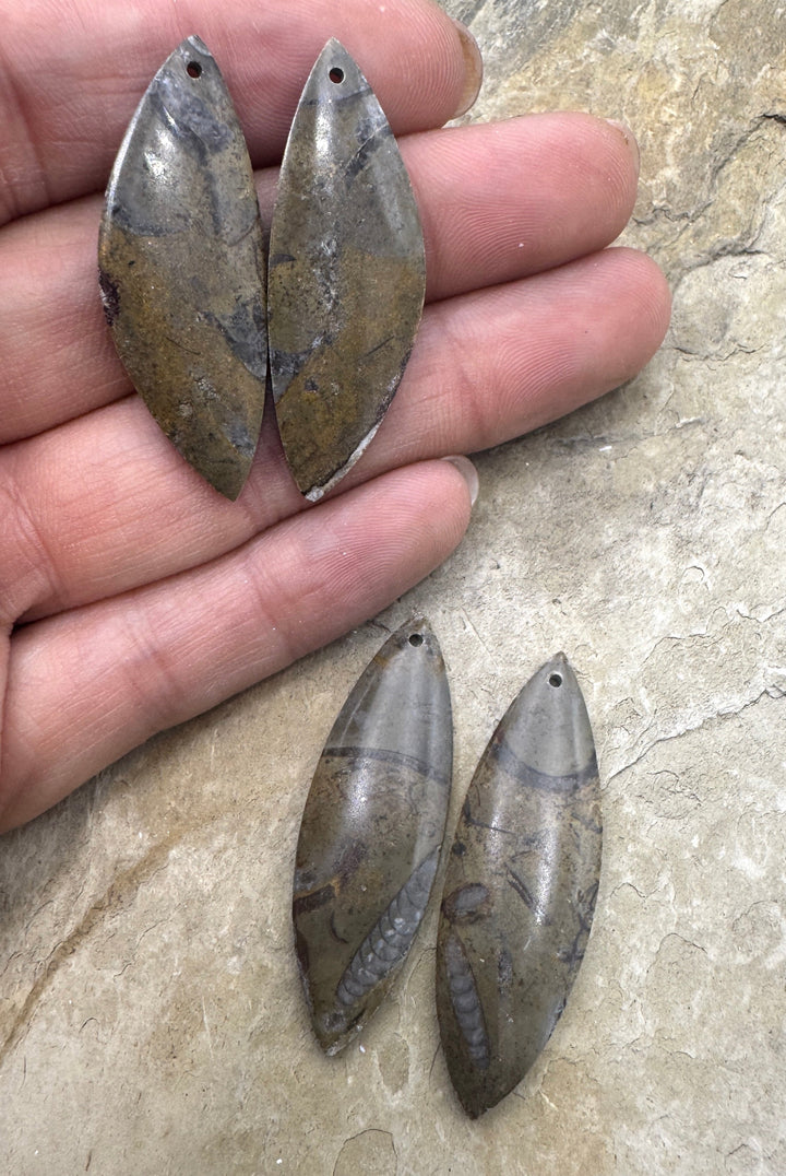 Natural Stone with Fossil Earring Slab Bead Pair, Select One Pair