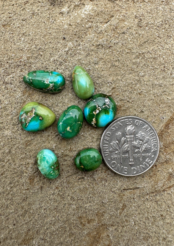 RARE Sonoran Gold Turquoise (Mex) LOT of 7 Mini Cabochons