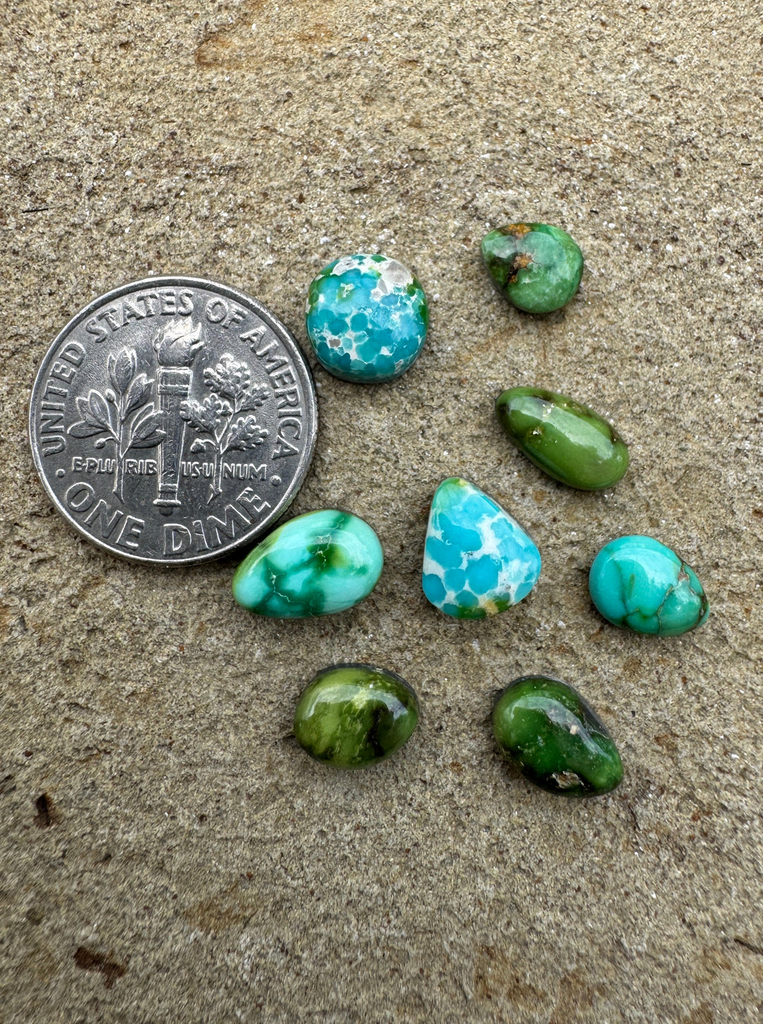 RARE Sonoran Gold Turquoise (Mex) LOT of 8 Mini Cabochons