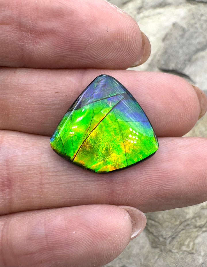 AAA+ Flashy Ammolite Doublet (Canada) 19x20mm
