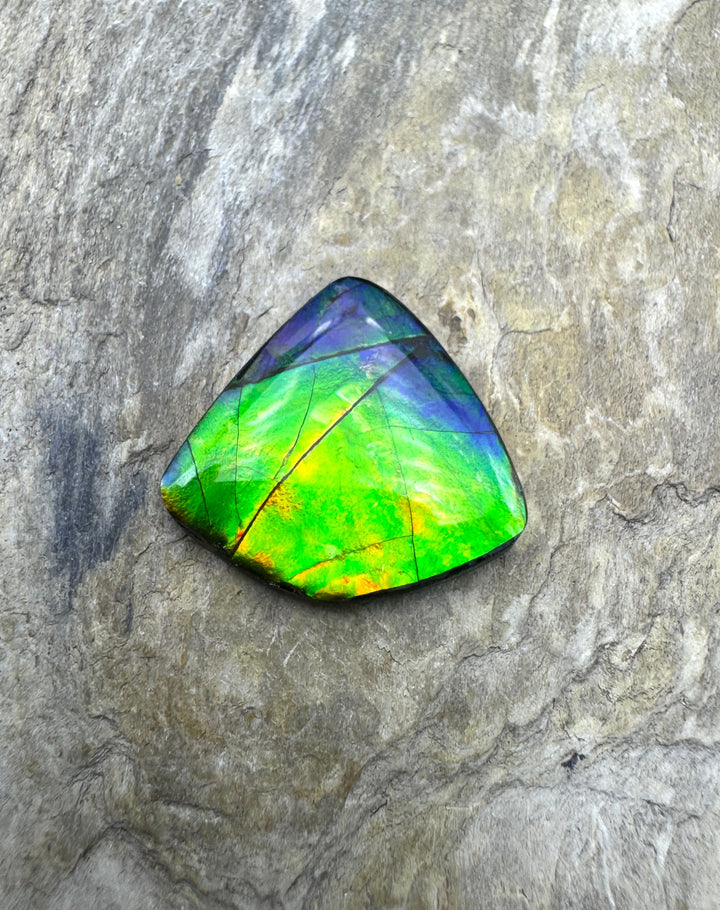 AAA+ Flashy Ammolite Doublet (Canada) 19x20mm