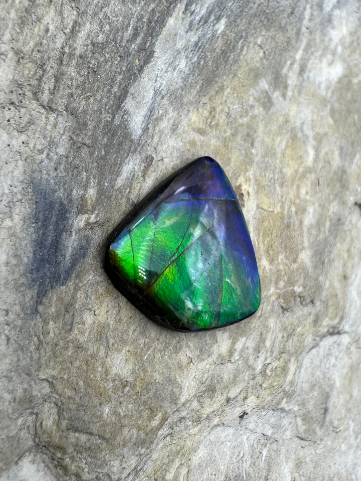 AAA+ Flashy Ammolite Doublet (Canada) 19x20mm