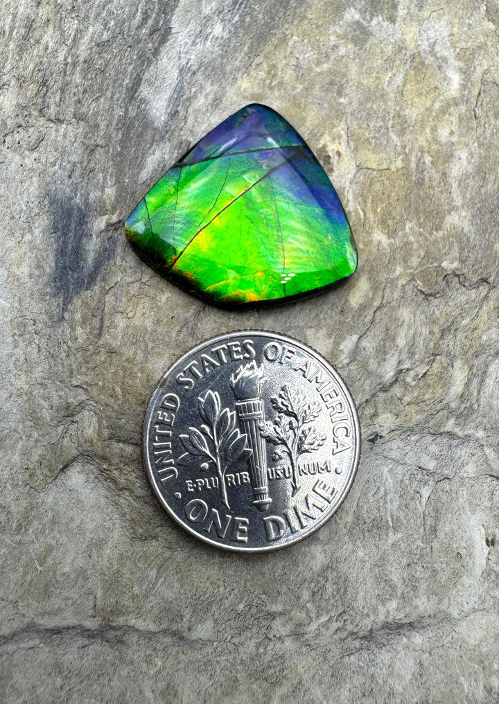 AAA+ Flashy Ammolite Doublet (Canada) 19x20mm