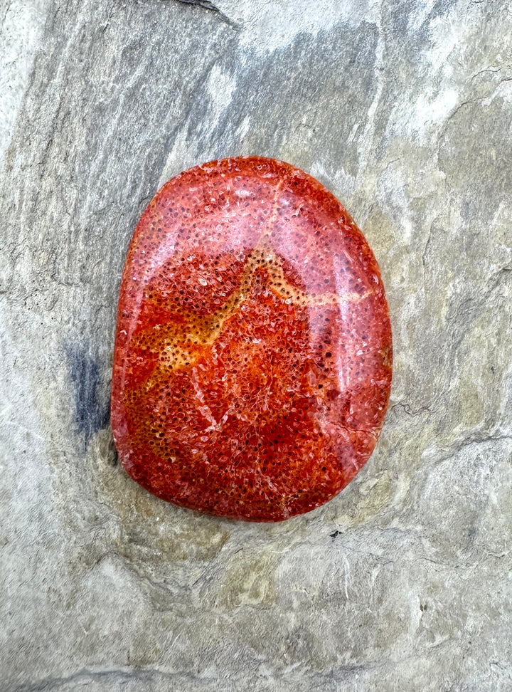 *Estate Buy Out Special* Natural Sponge BIG Freeform Cabochon 28x38mm