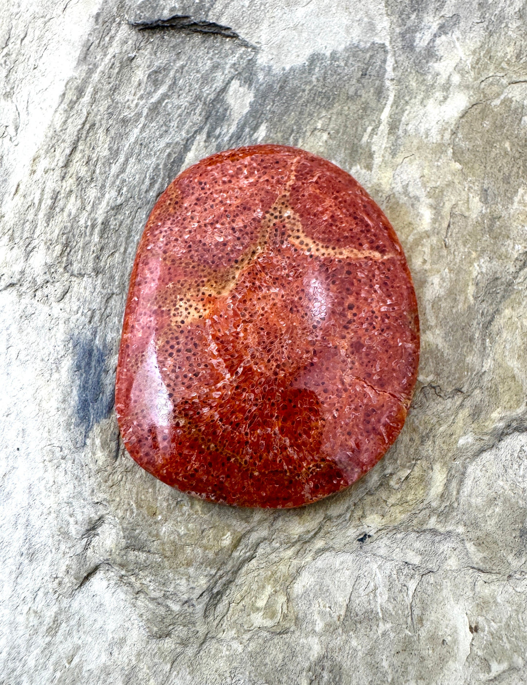 *Estate Buy Out Special* Natural Sponge BIG Freeform Cabochon 28x38mm