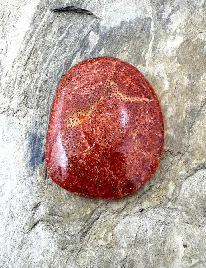 *Estate Buy Out Special* Natural Sponge BIG Freeform Cabochon 28x38mm