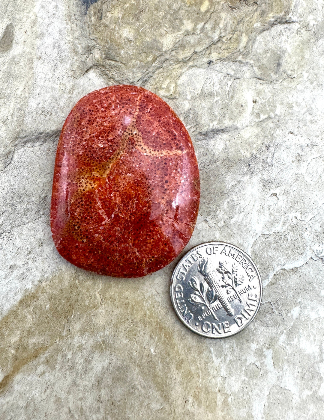 *Estate Buy Out Special* Natural Sponge BIG Freeform Cabochon 28x38mm