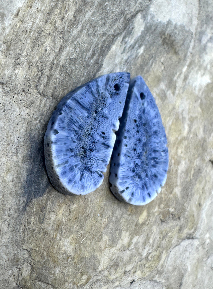 Natural Blue Sponge Coral Matching Earing Slab Bead Pair 12x25mm