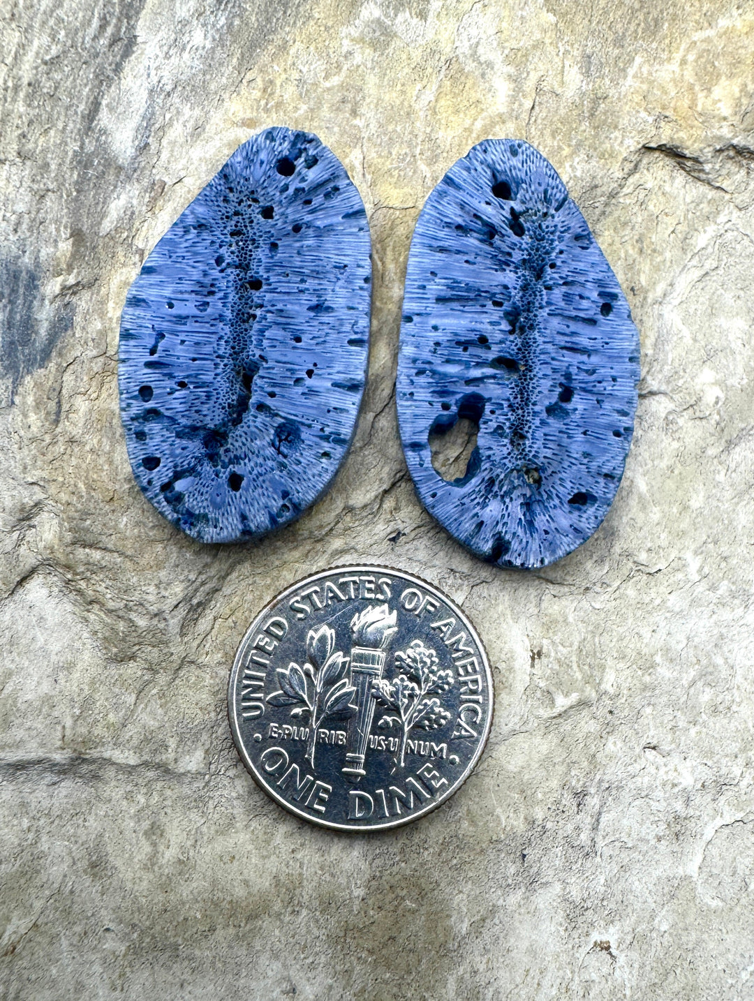 Natural Blue Sponge Coral Matching Earing Slab Bead Pair 16x30mm