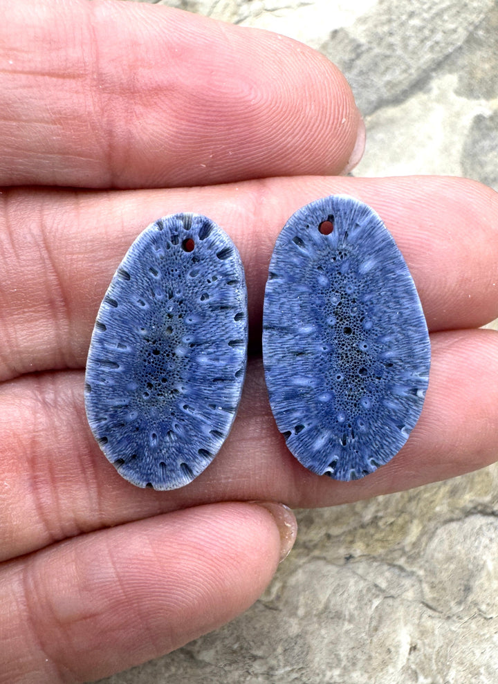 Natural Blue Sponge Coral Matching Earing Slab Bead Pair 14x19mm