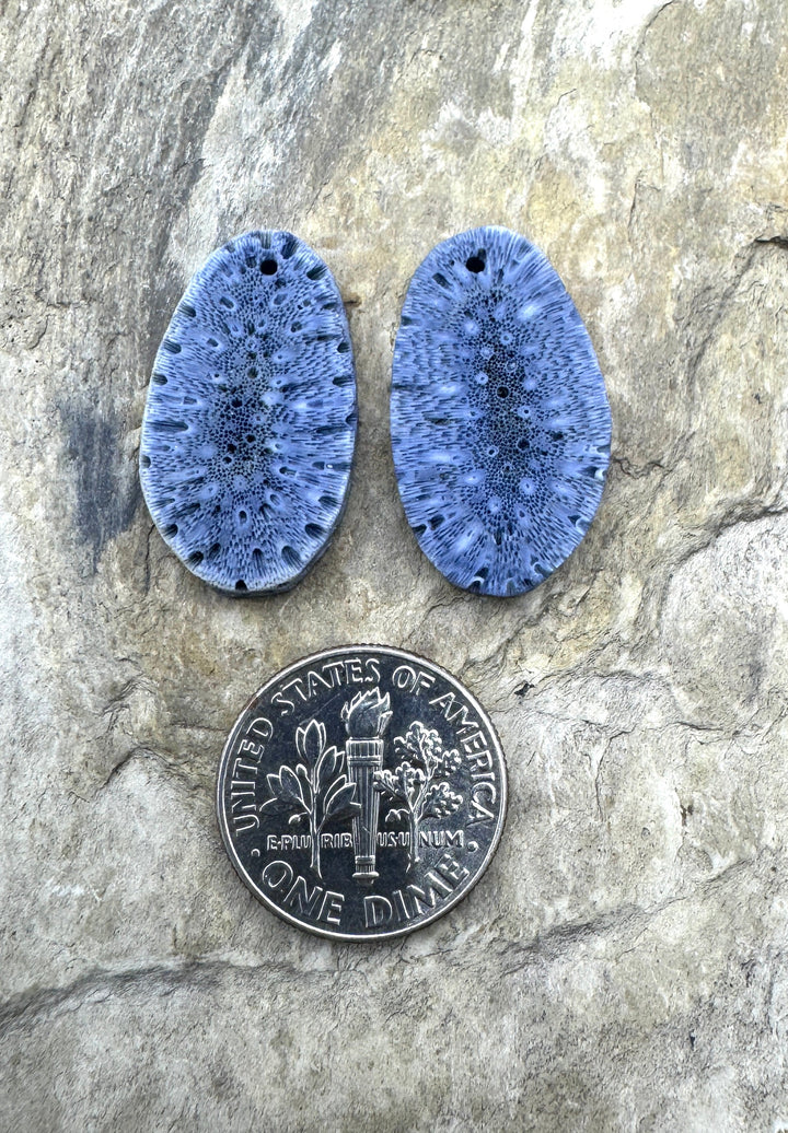 Natural Blue Sponge Coral Matching Earing Slab Bead Pair 14x19mm