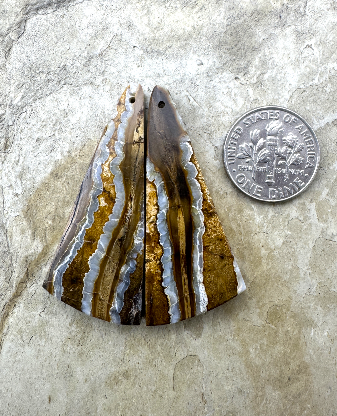 RARE Fossilized Wooly Mammoth Tooth Matching Beads Slab Pair 17x42mm