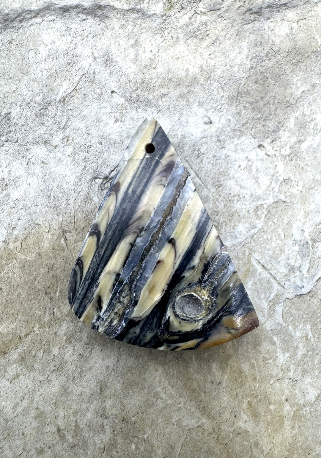 RARE Fossilized Wooly Mammoth Tooth Matching Beads Slab Pair 22x27mm
