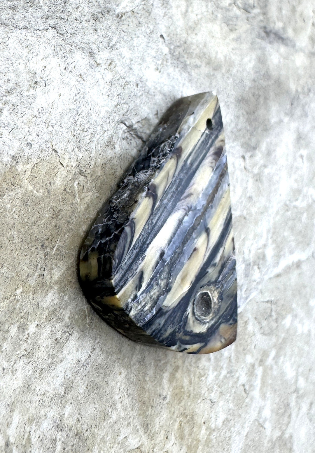 RARE Fossilized Wooly Mammoth Tooth Matching Beads Slab Pair 22x27mm