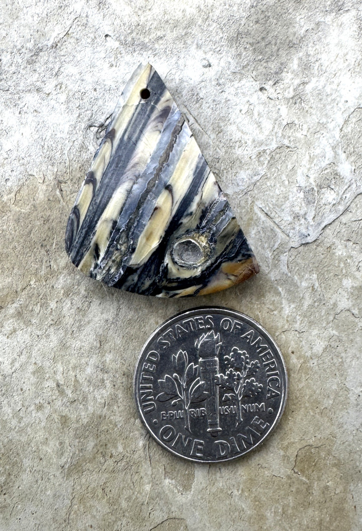 RARE Fossilized Wooly Mammoth Tooth Matching Beads Slab Pair 22x27mm