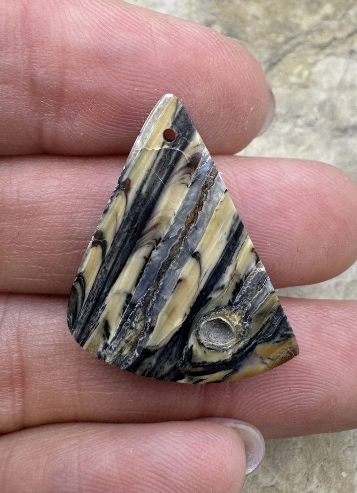 RARE Fossilized Wooly Mammoth Tooth Matching Beads Slab Pair 22x27mm