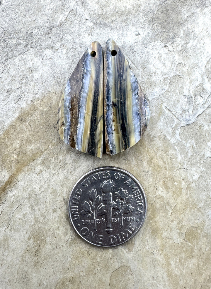 RARE Fossilized Wooly Mammoth Tooth Matching Beads Slab Pair 10x26mm