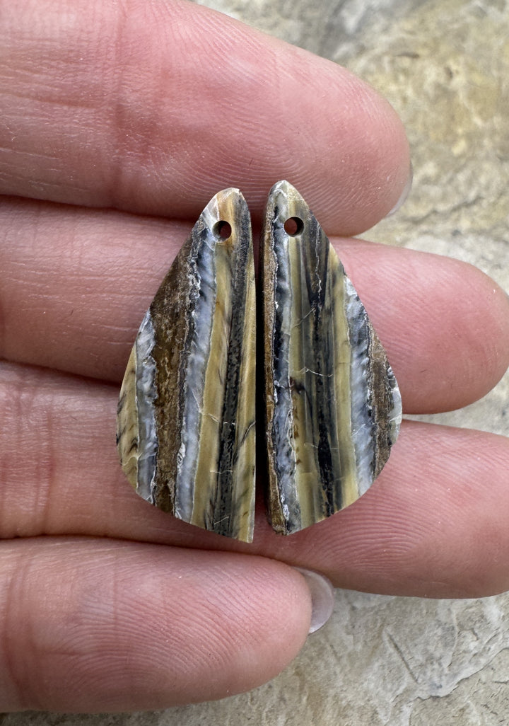 RARE Fossilized Wooly Mammoth Tooth Matching Beads Slab Pair 10x26mm