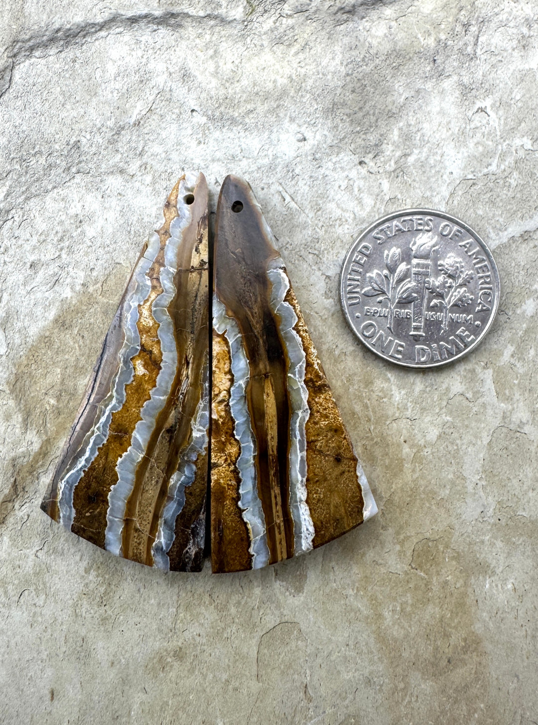 RARE Fossilized Wooly Mammoth Tooth Matching Beads Slab Pair 17x42mm