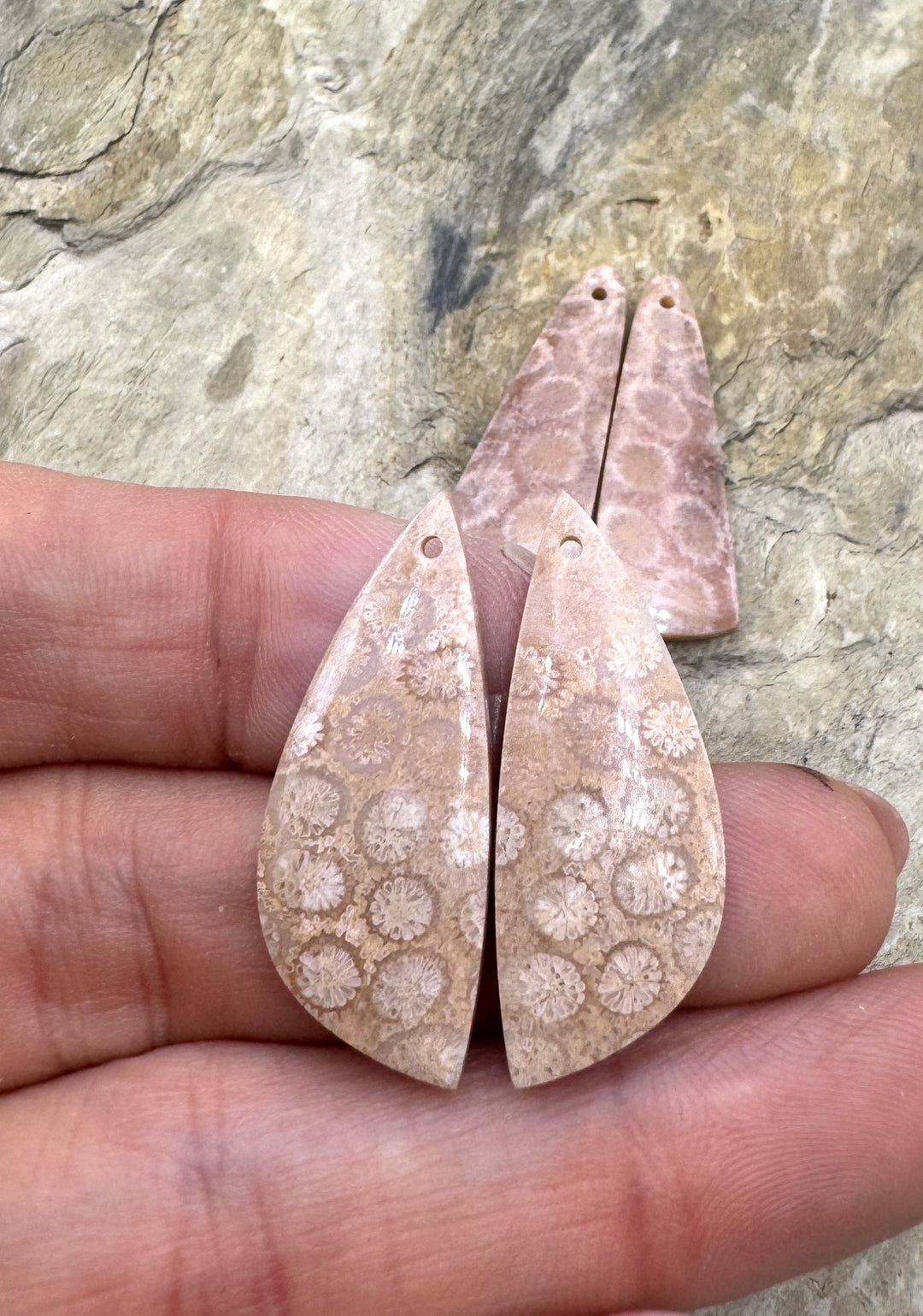 Fossil Coral Matching Earring Slab Bead Pair 12x31mm, Select One Pair