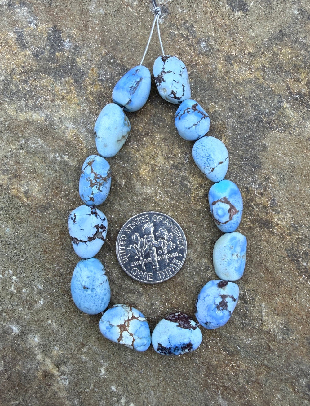 AA+ RARE Golden Hills Turquoise (Kazakhstan) Large Rounded