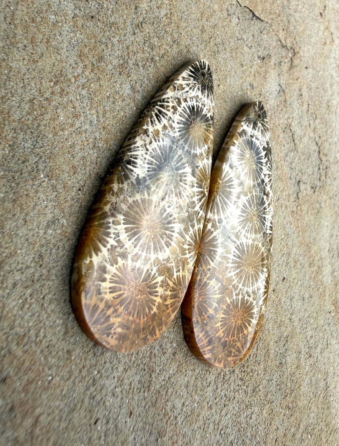 AAA+ Fossil Coral BIG Matching Earring Slab Bead Pair