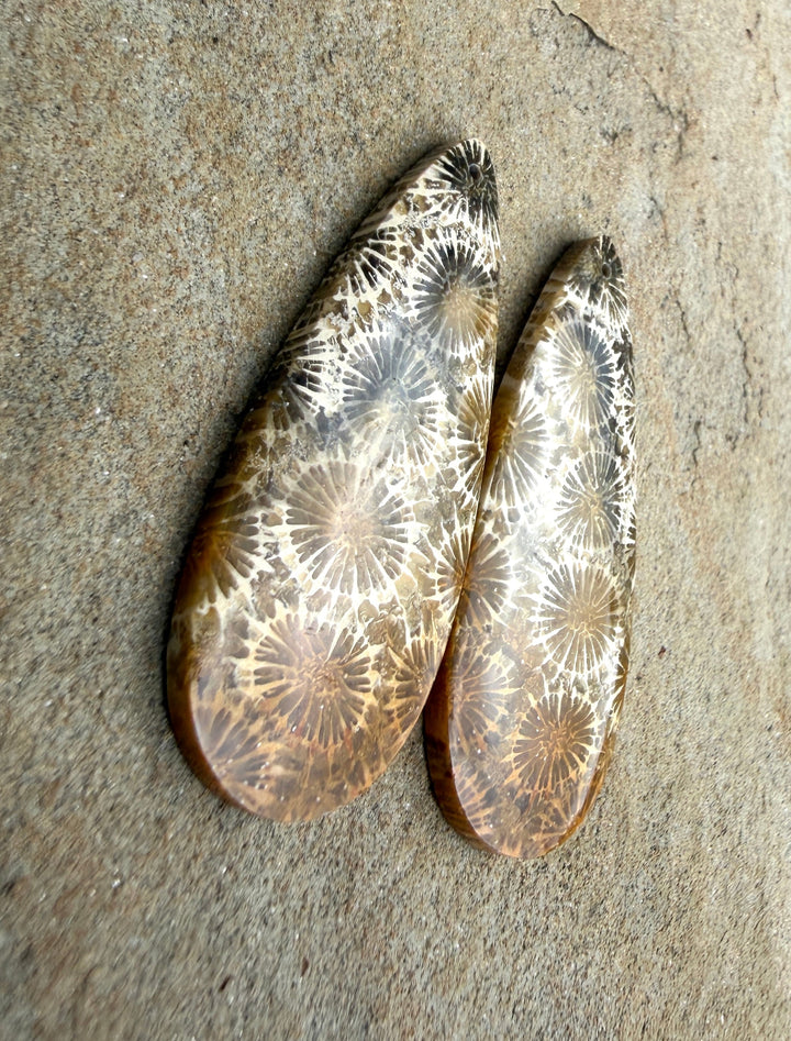 AAA+ Fossil Coral BIG Matching Earring Slab Bead Pair