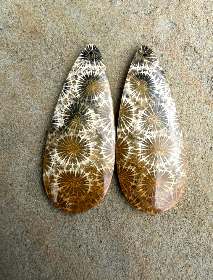 AAA+ Fossil Coral BIG Matching Earring Slab Bead Pair