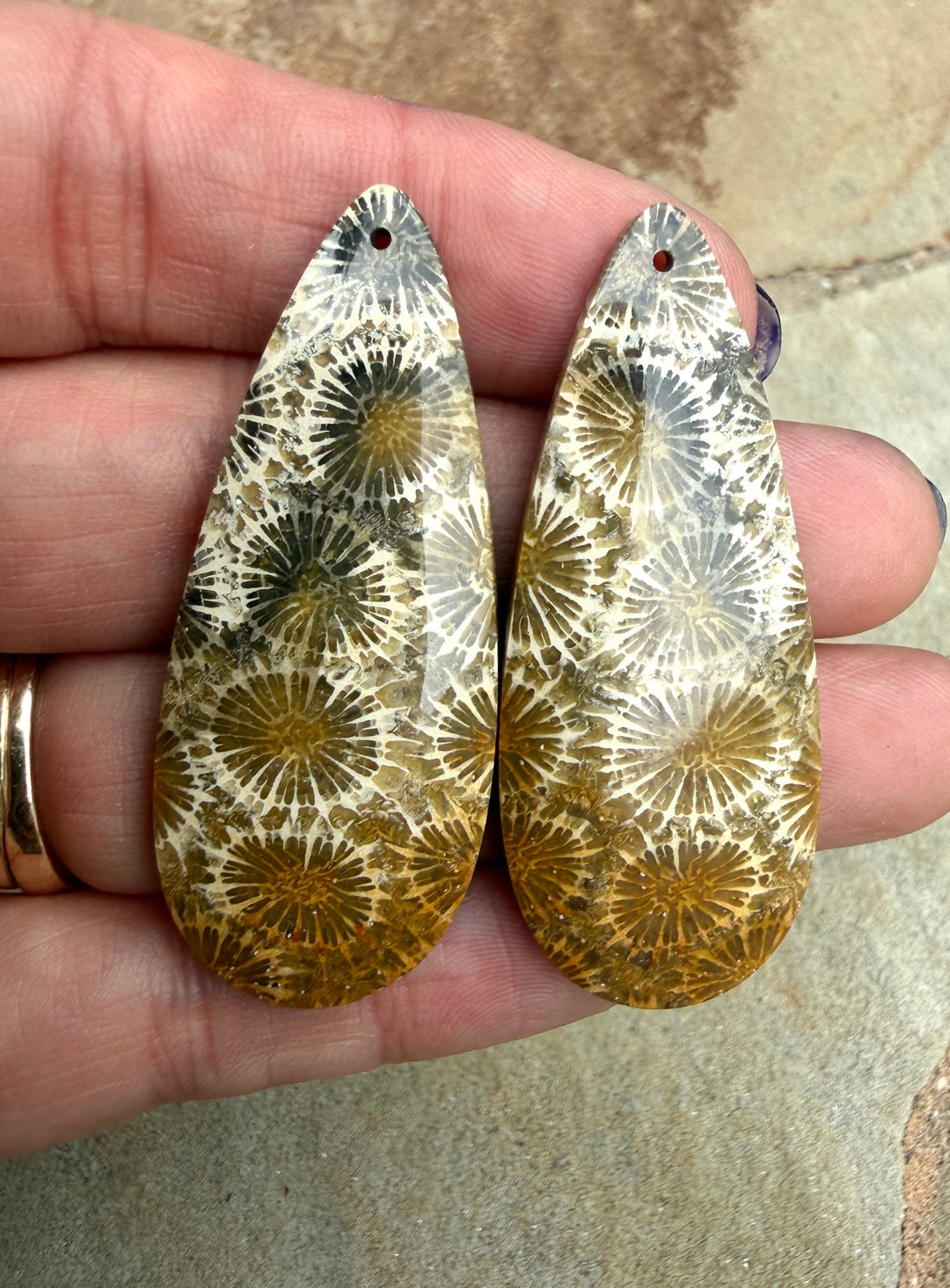 AAA+ Fossil Coral BIG Matching Earring Slab Bead Pair