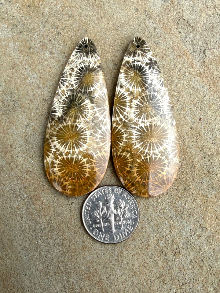 AAA+ Fossil Coral BIG Matching Earring Slab Bead Pair