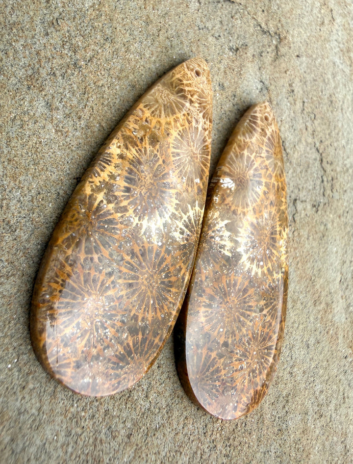 AAA+ Fossil Coral BIG Matching Earring Slab Bead Pair