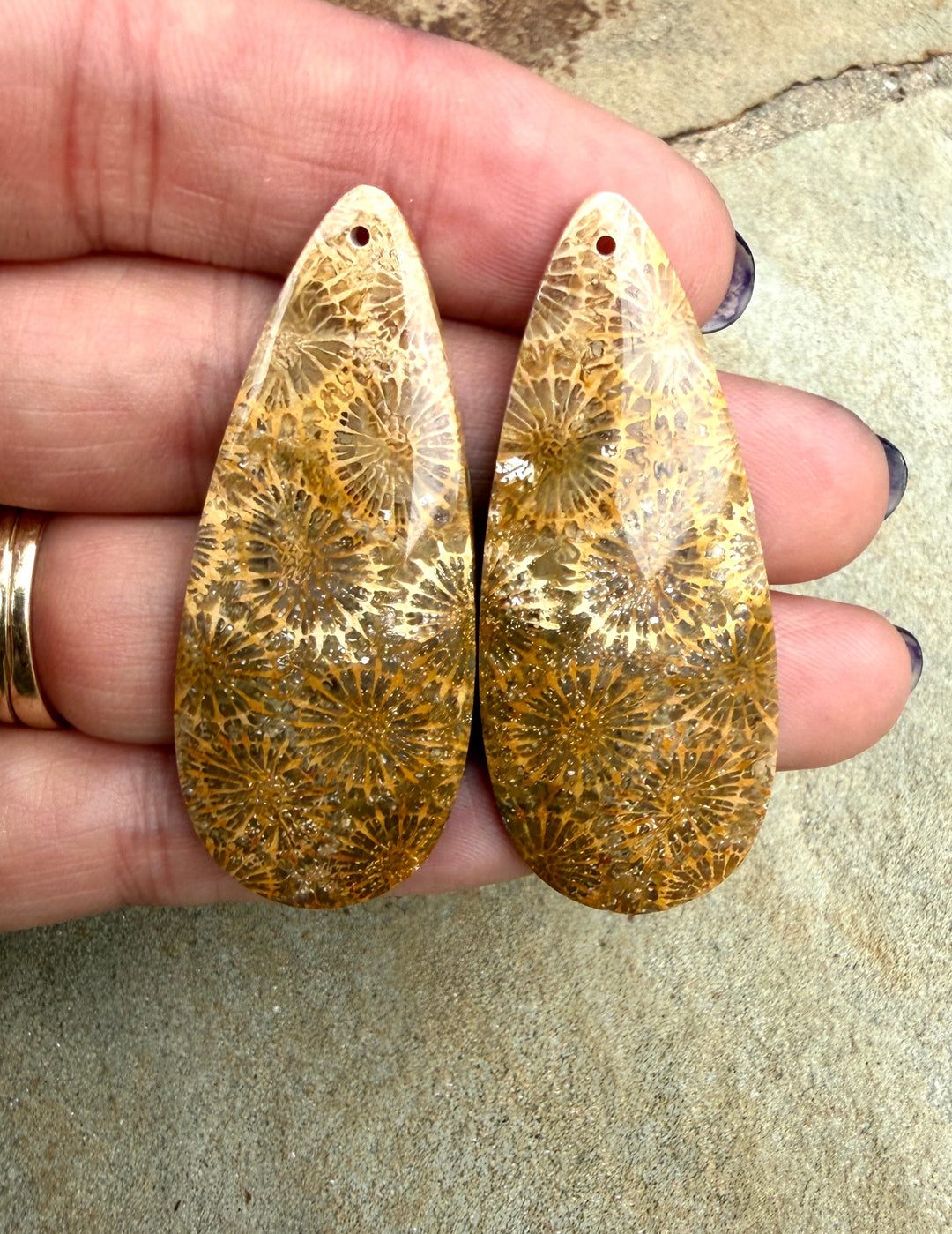 AAA+ Fossil Coral BIG Matching Earring Slab Bead Pair