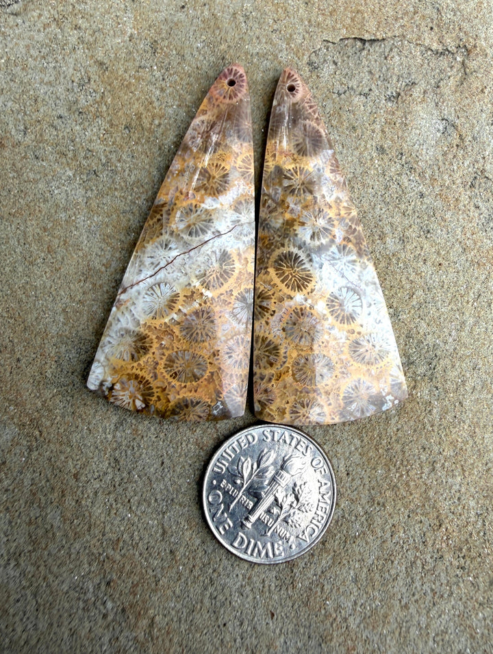 AAA+ Fossil Coral BIG Matching Earring Slab Bead Pair