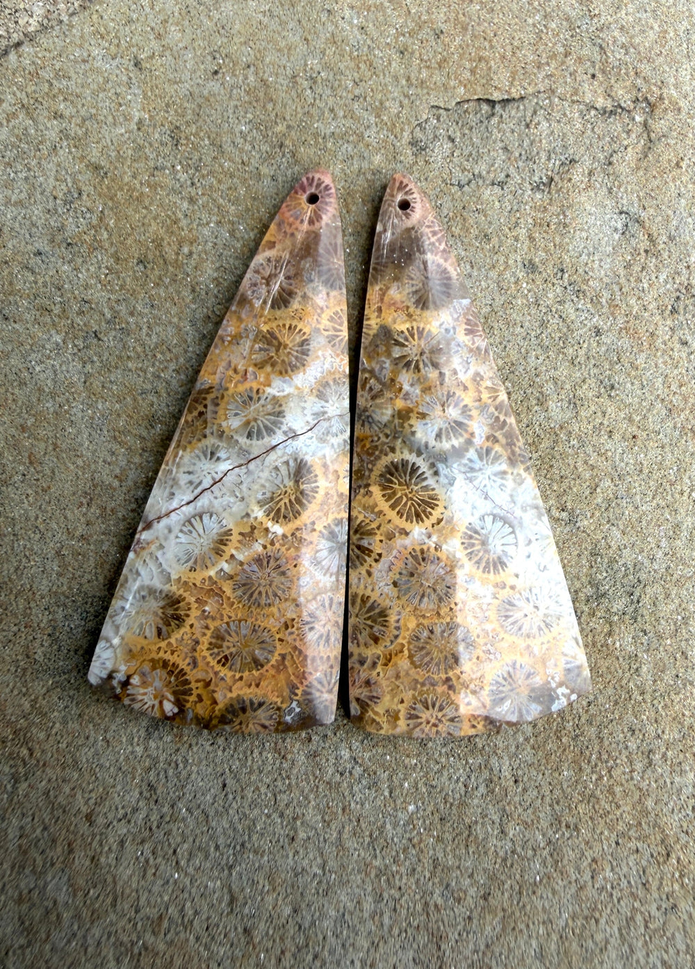 AAA+ Fossil Coral BIG Matching Earring Slab Bead Pair