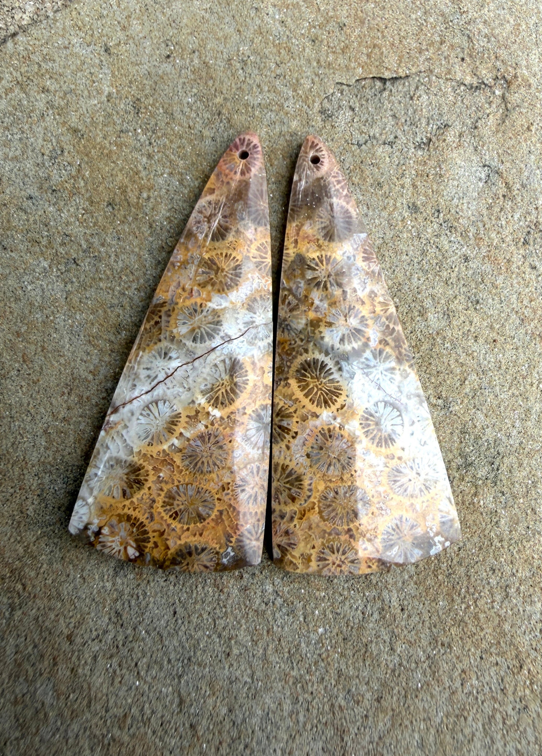 AAA+ Fossil Coral BIG Matching Earring Slab Bead Pair