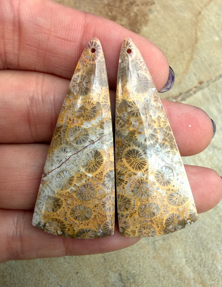 AAA+ Fossil Coral BIG Matching Earring Slab Bead Pair