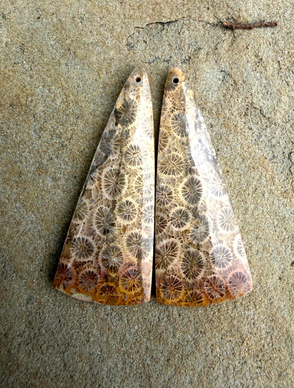 AAA+ Fossil Coral BIG Matching Earring Slab Bead Pair