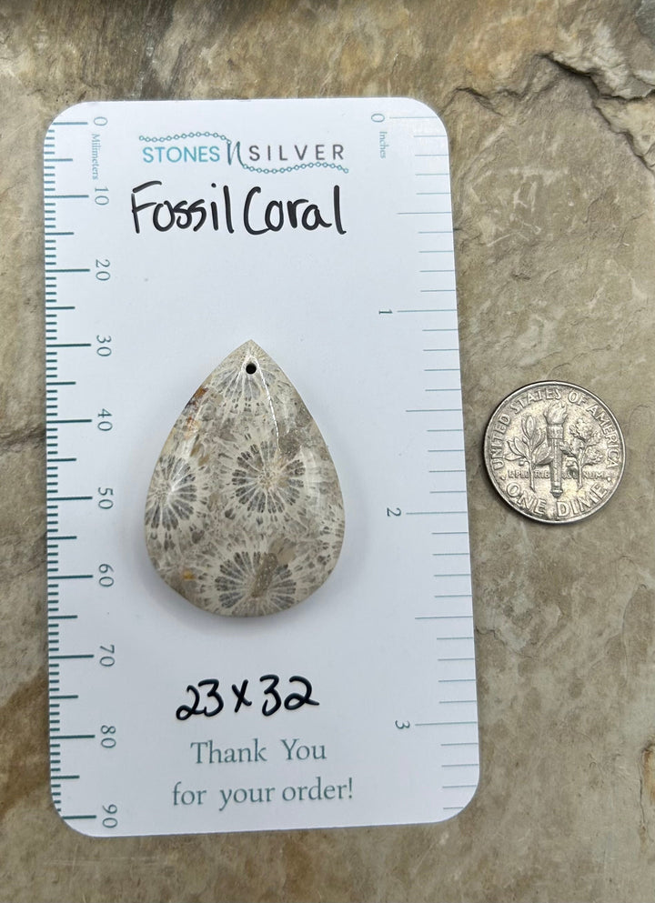AAA+ Fossil Coral Focal Pendant Bead 23x32mm - Fossil Coral