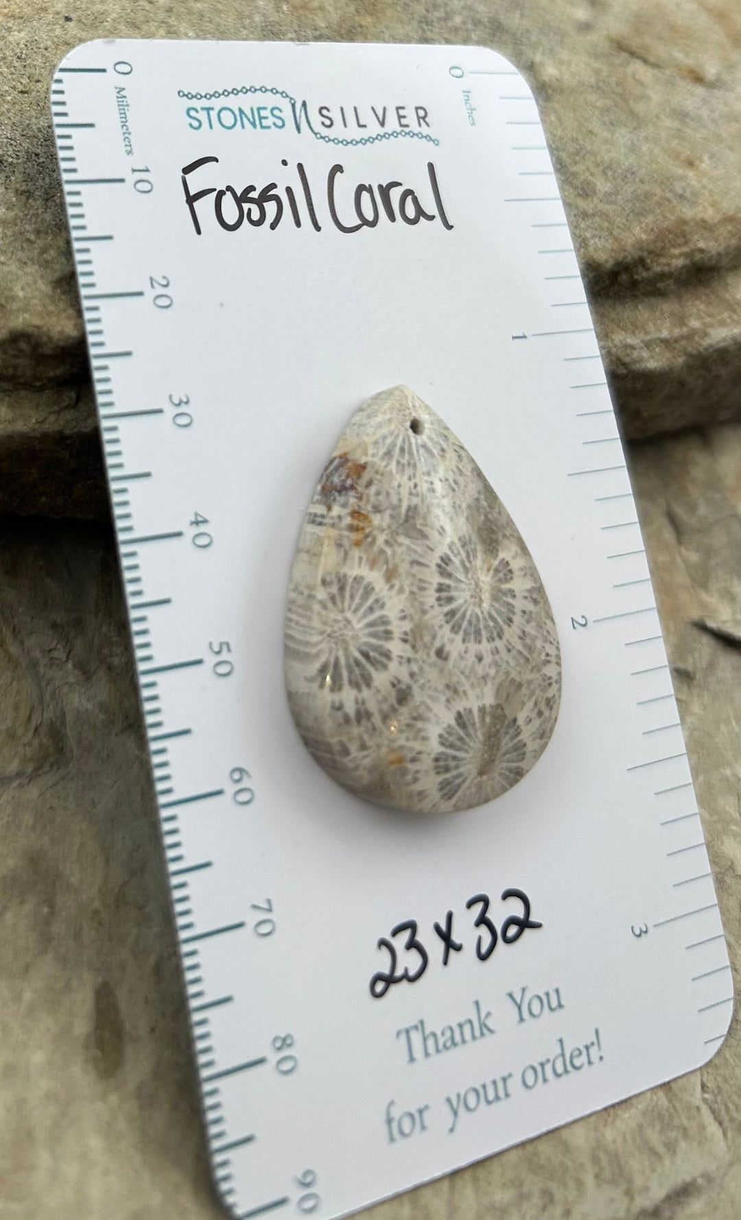 AAA+ Fossil Coral Focal Pendant Bead 23x32mm - Fossil Coral