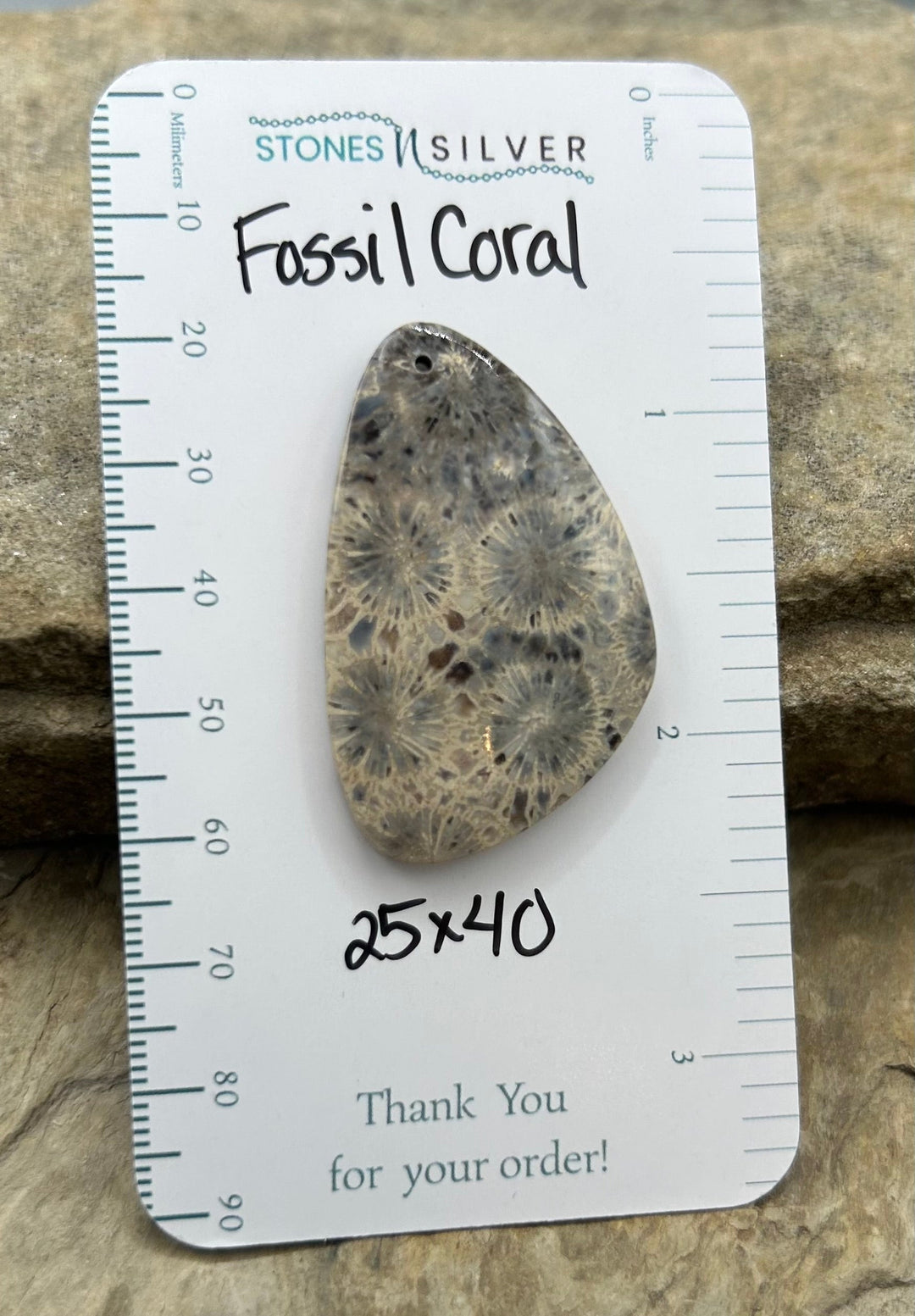 AAA+ Fossil Coral Focal Pendant Bead 25x40mm - Fossil Coral