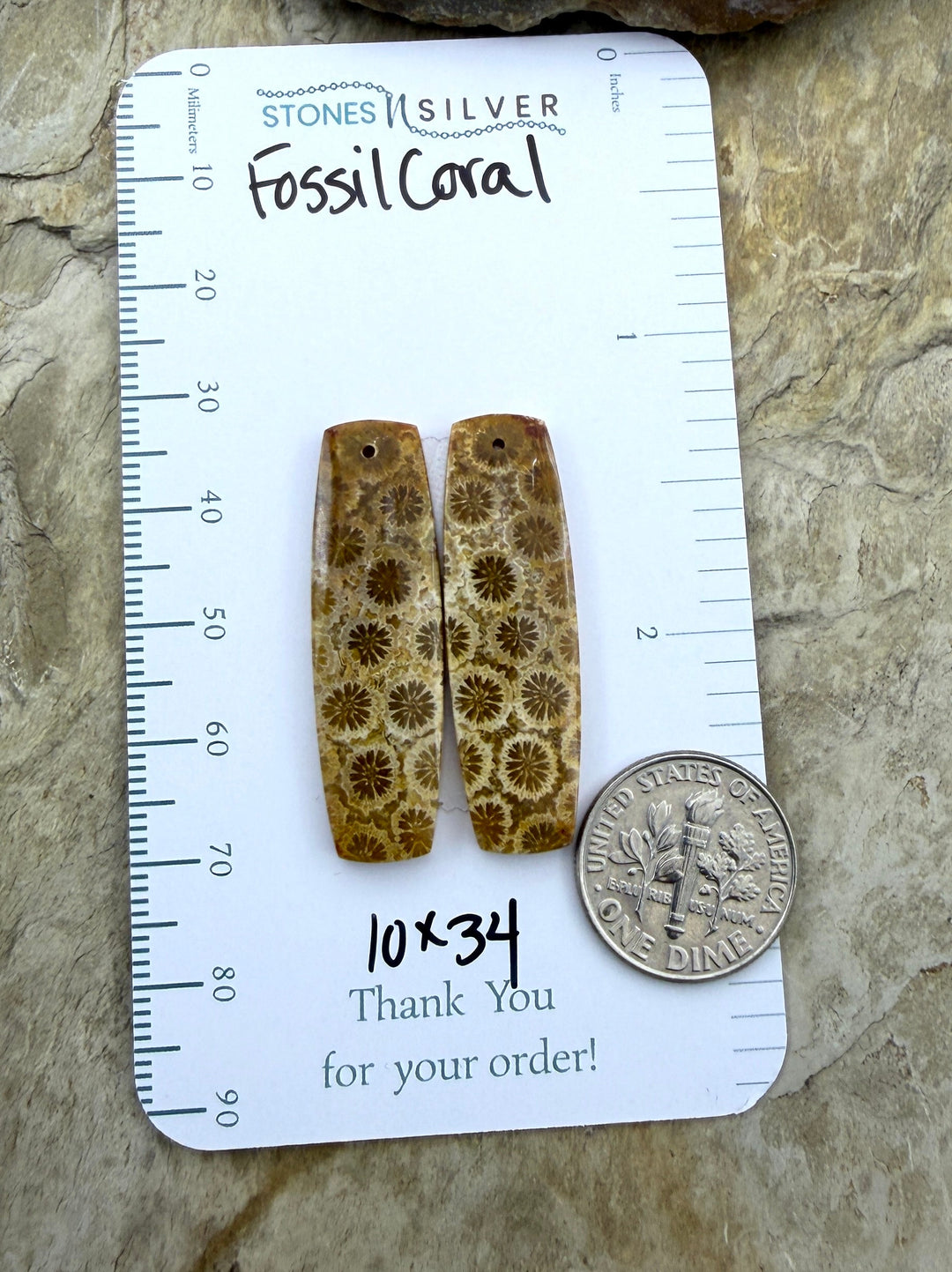 AAA+ Fossil Coral Matching Earring Slab Bead Pair 10x34mm