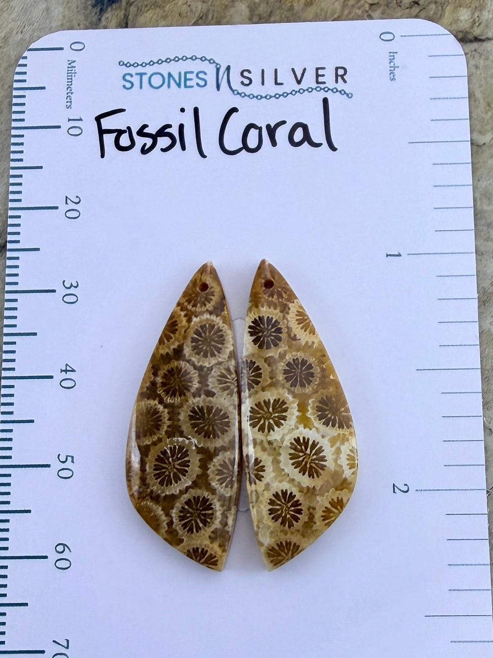 AAA+ Fossil Coral Matching Earring Slab Bead Pair 11x31mm