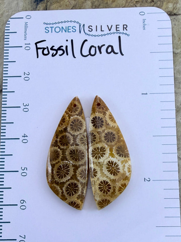 AAA+ Fossil Coral Matching Earring Slab Bead Pair 11x31mm