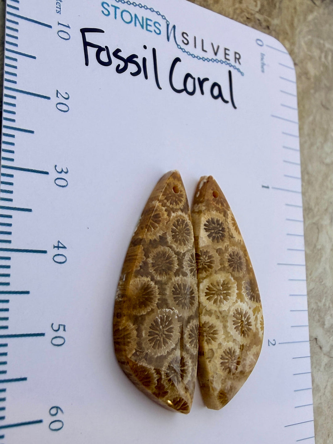 AAA+ Fossil Coral Matching Earring Slab Bead Pair 11x31mm